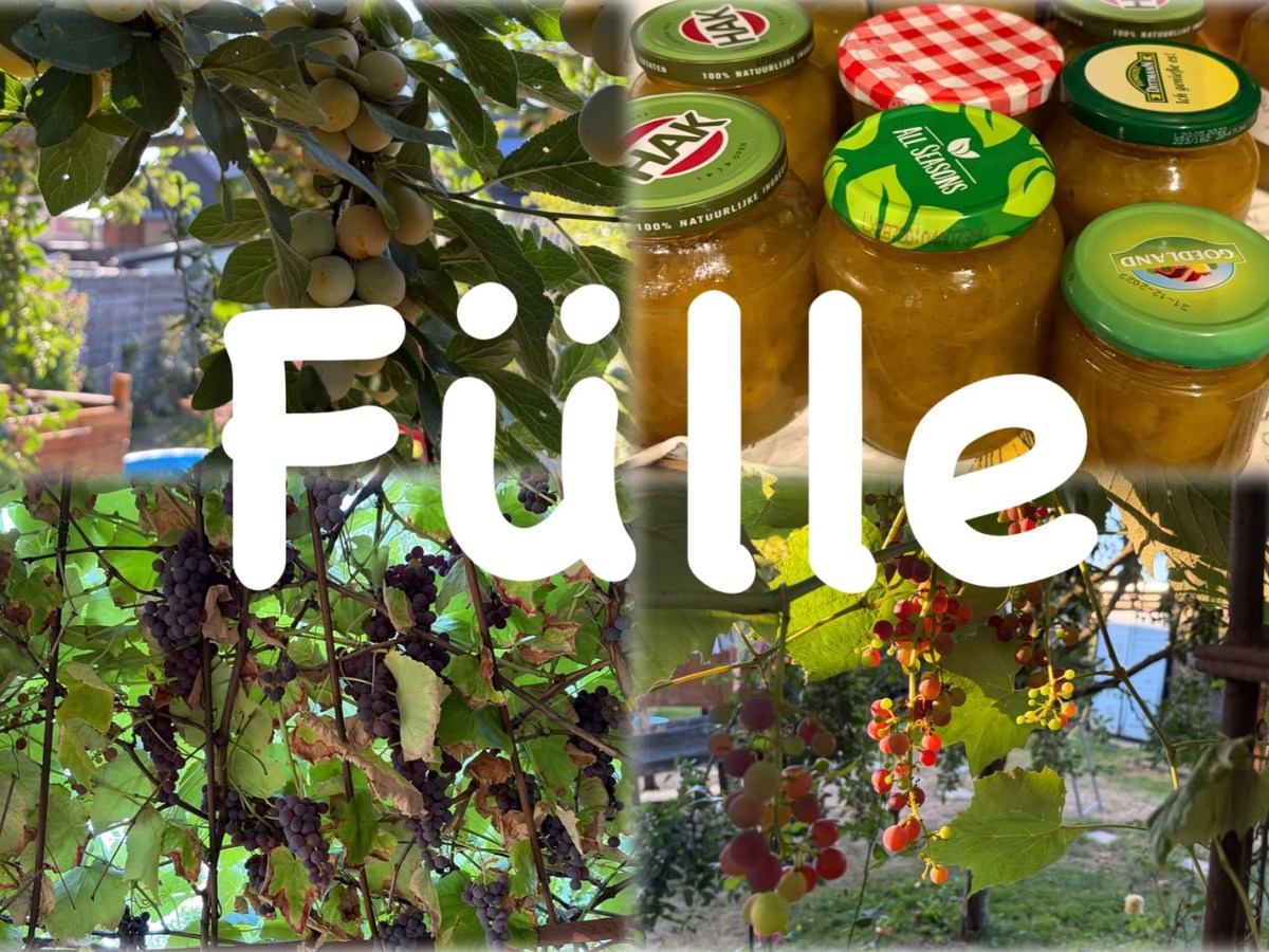 Fülle